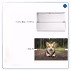 برچسب پوششی ماهوت مدل Dog-2 مناسب برای تبلت لنوو Miix 510 2016