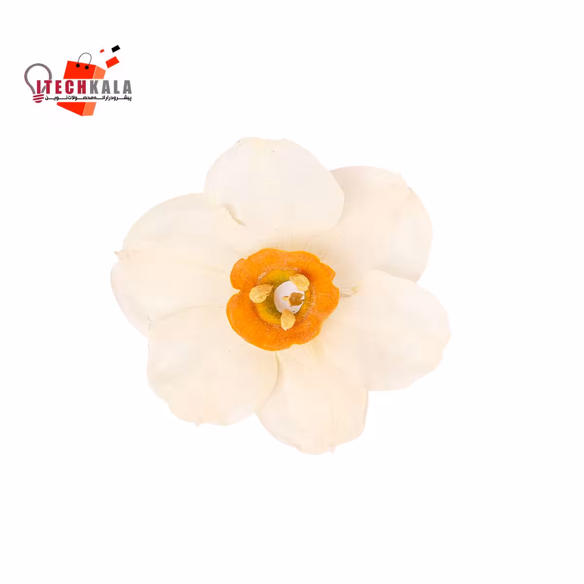 گل نرگس (10 عددی)