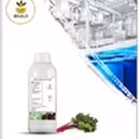 عصاره ریوند چینی مایع