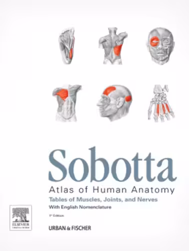 خرید و دانلود نسخه کامل کتاب Sobotta - Tables of Muscles, Joints and Nerves