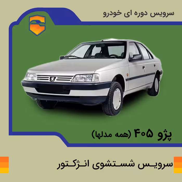 سرویس شست و شوی انژکتور پژو 405