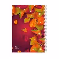 دفتر100برگ وزیری سیمی مجلدکلاسیک الیپون کد278کارتن38عددی