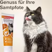 خمیر مالت مولتی ویتامین گربه بیفار Beaphar Duo-Active Multi Vitamin وزن 100 گرم