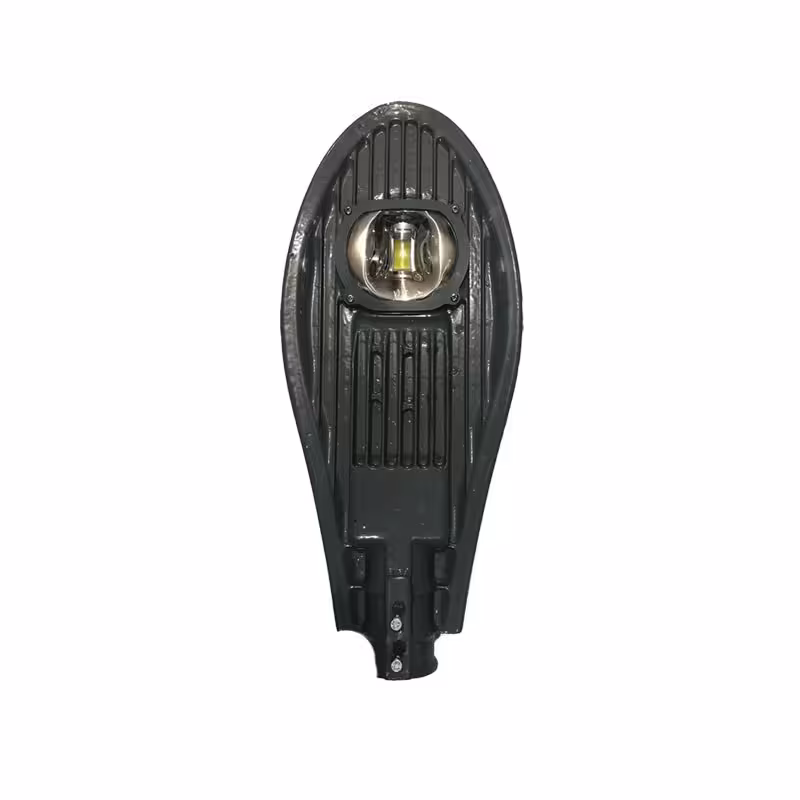 پروژکتور 50 وات خیابانی (چیپ معمولی )