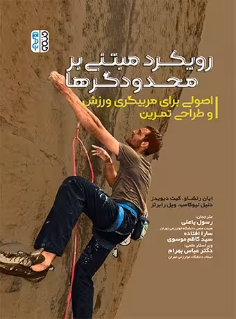 رویکرد مبتنی بر محدودگرها