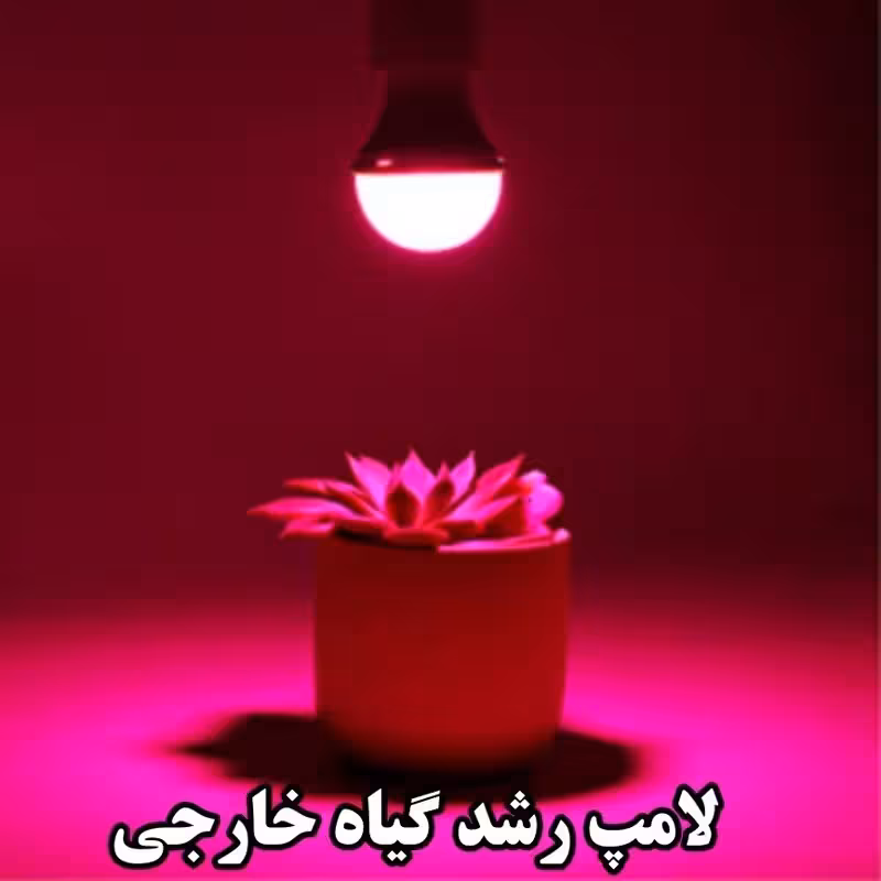 لامپ رشد گیاه حبابی 6وات- باکیفیت مطلوب و زاویه 240درجه مناسب رشد گیاهان