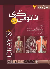 کتاب آناتومی گری رضا شیرازی سر و گردن جلد سوم سر و گردن 2024