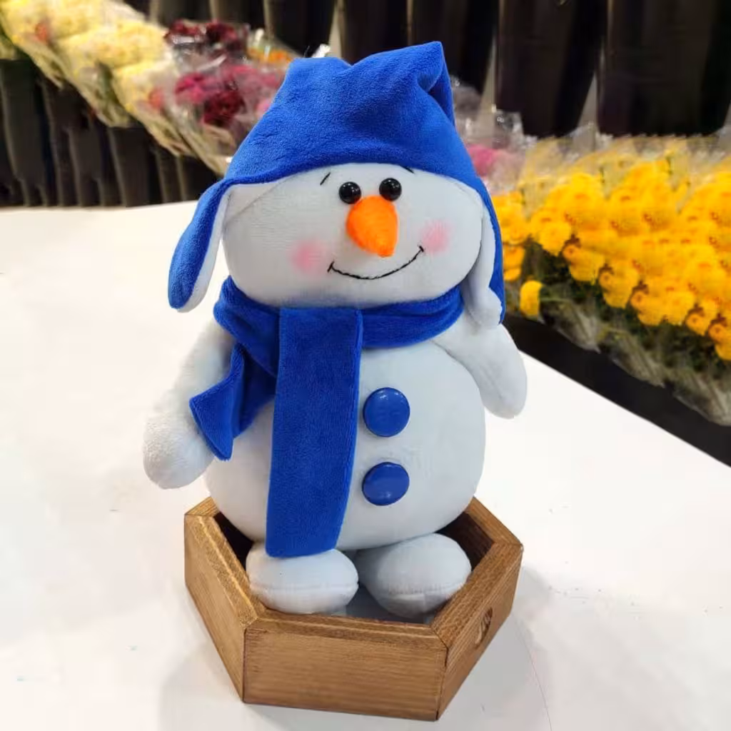 عروسک آدم برفی کلاه آبی در اراک و مرکزی