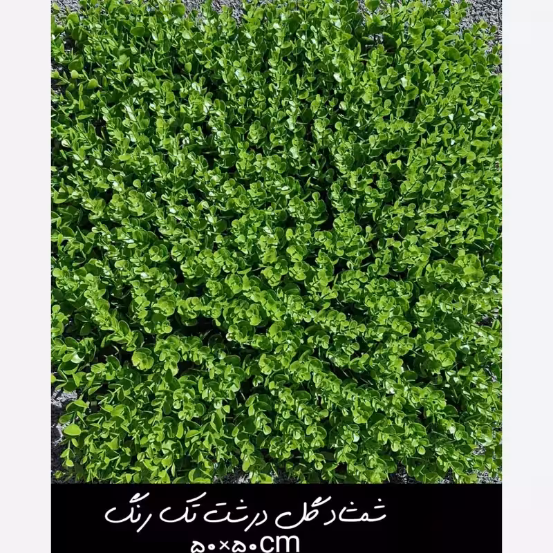 گرین وال(دیوار سبز) شمشاد گل درشت تک رنگ 50در50 cm پرتراکم رویال سبز(پس کرایه)