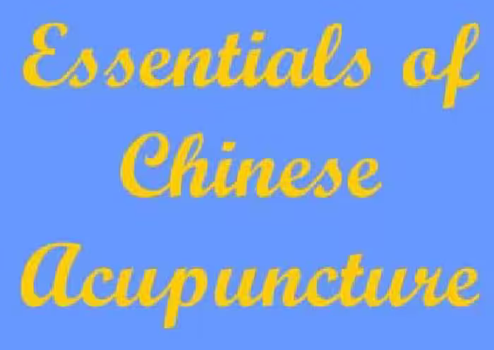 خرید و دانلود نسخه کامل کتاب Essentials of Chinese Acupuncture