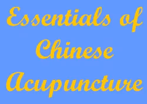 خرید و دانلود نسخه کامل کتاب Essentials of Chinese Acupuncture