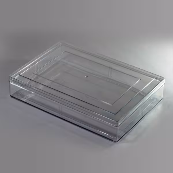 جعبه کریستالی شفاف مستطیل بسته 5 عددی