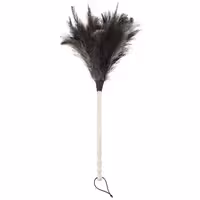 گردگیر پر شتر مرغ دسته چوبی