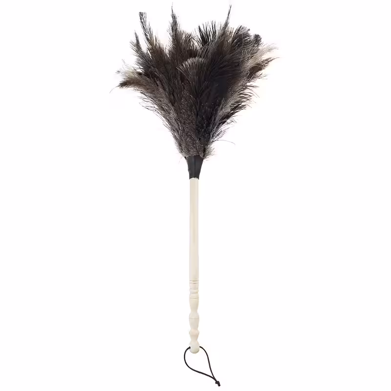 گردگیر پر شتر مرغ دسته چوبی