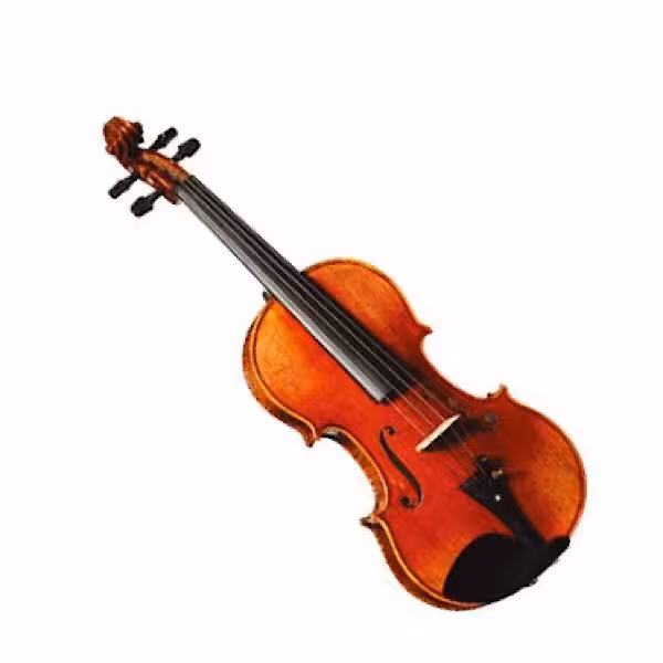 ویولن مولر مدل 300 سایز 1/4Muller 300 Size 1/4 Violin