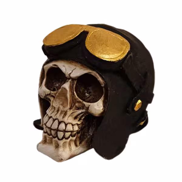 مجسمه  مدل جمجمه اسکلت کد 1