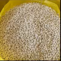 لوبیا سفید دستچین ایرانی( یک کیلویی)