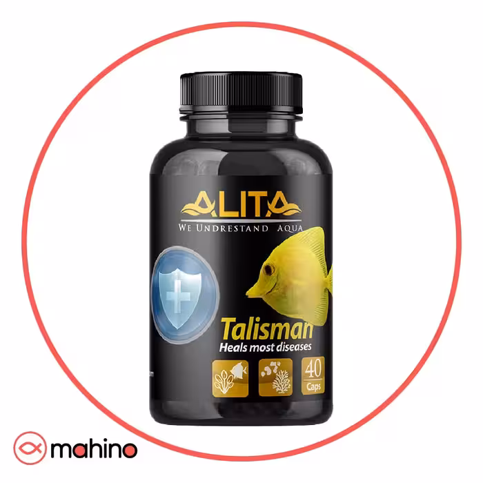 داروی تالیسمان آلیتا