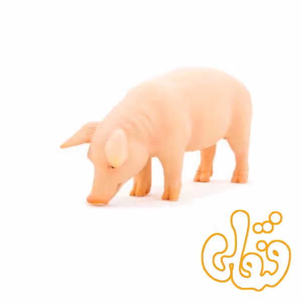 خوک نر Pig Boar 387080