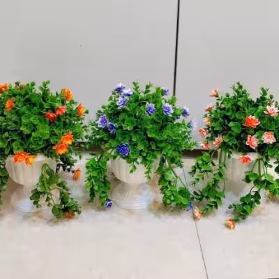 شمشاد کاپی آویز کوچک