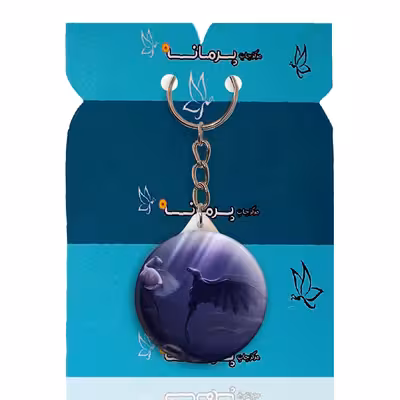 جاکلیدی پرمانه طرح مربی اژدها کد pmy.21824