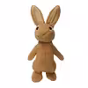 عروسک طرح خرگوش مدل Peter Rabbit کد SZ8/517 ارتفاع 30 سانتی‌متر