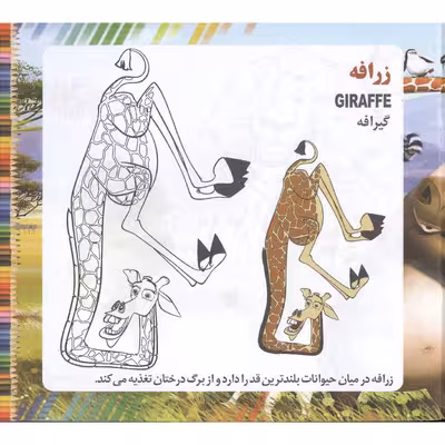 کتاب ماداگاسکار اثر سیده علیرضا سید فاخر انتشارات آسمان علم