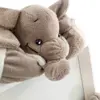 قاب عکس کودک نی نی سیس مدل فیل