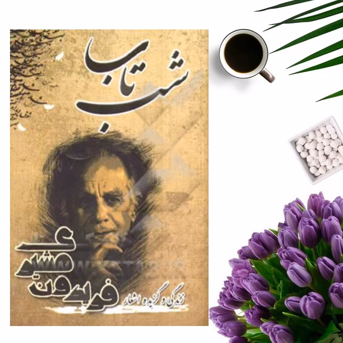 کتاب زندگی و گزیده اشعار فریدون مشیری( شب تاب) انتشارات سایه آرا