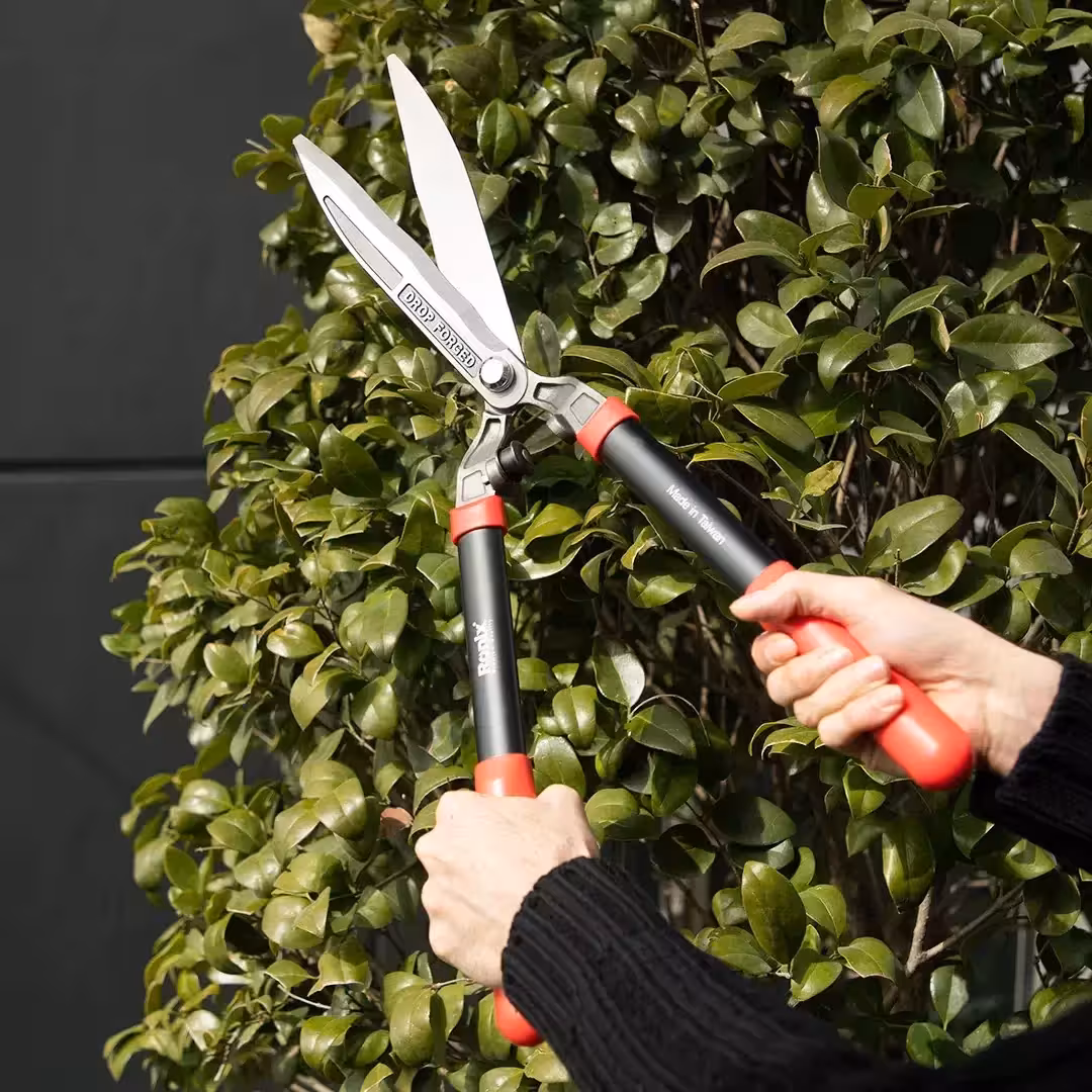 قیچی شمشاد زنی رونیکس مدل RH3110