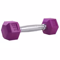 دمبل شش ضلعی 2 کیلوگرمی در بسته بندی 2 عددی