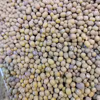 ماش سبز اعلا