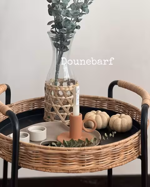 جاشمعی خاکی