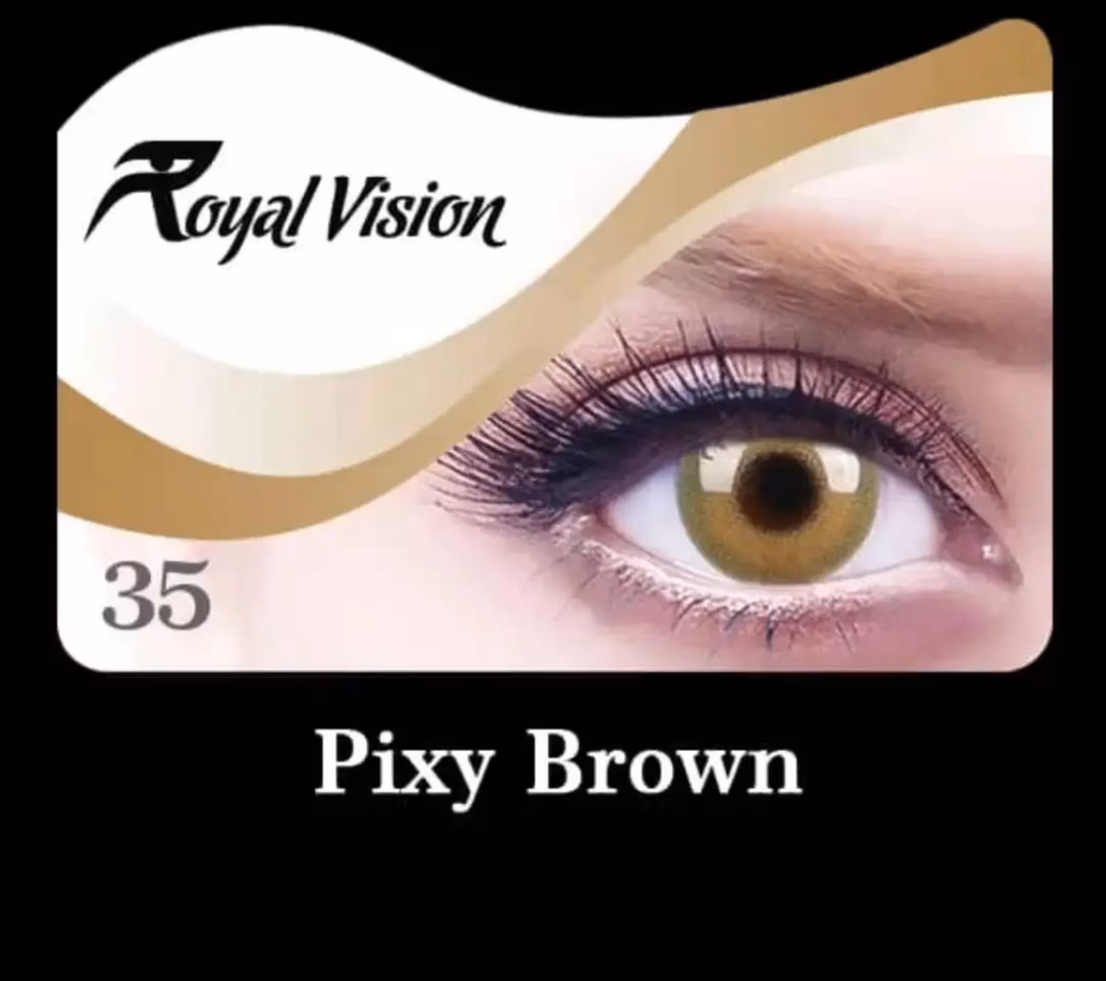 لنز رویال ویژن کد 35  , Royal Vision Royal Vision sensual beauty lenses Pixy Brown