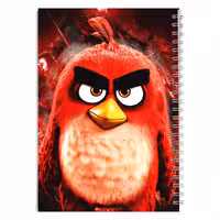 دفتر مشق کارتون انگری برد