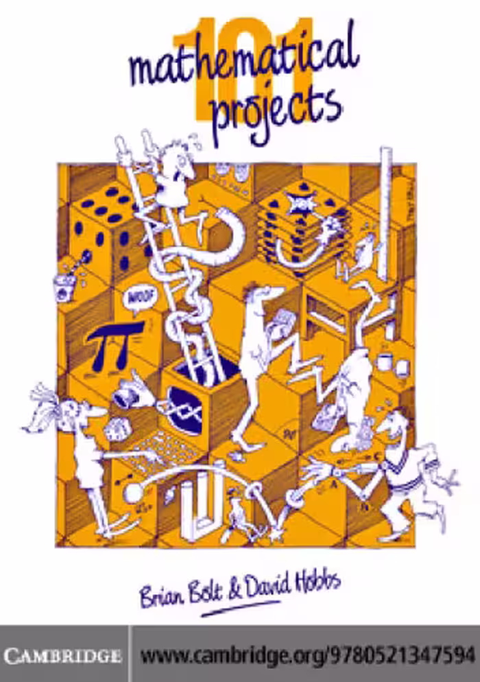 خرید و دانلود نسخه کامل کتاب 101 Mathematical Projects