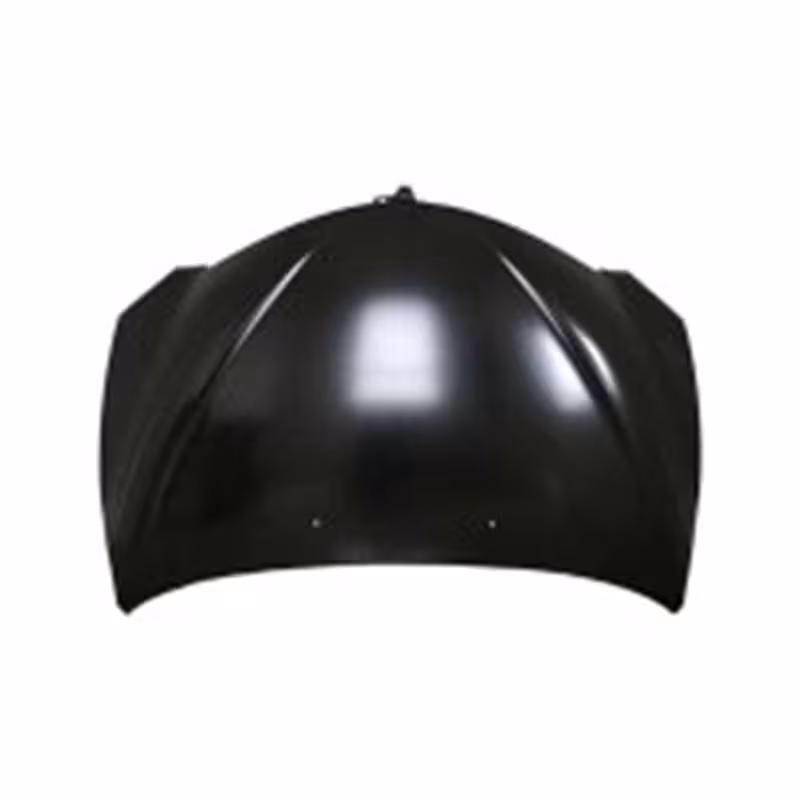 کاپوت سانگ یانگ اکتیون