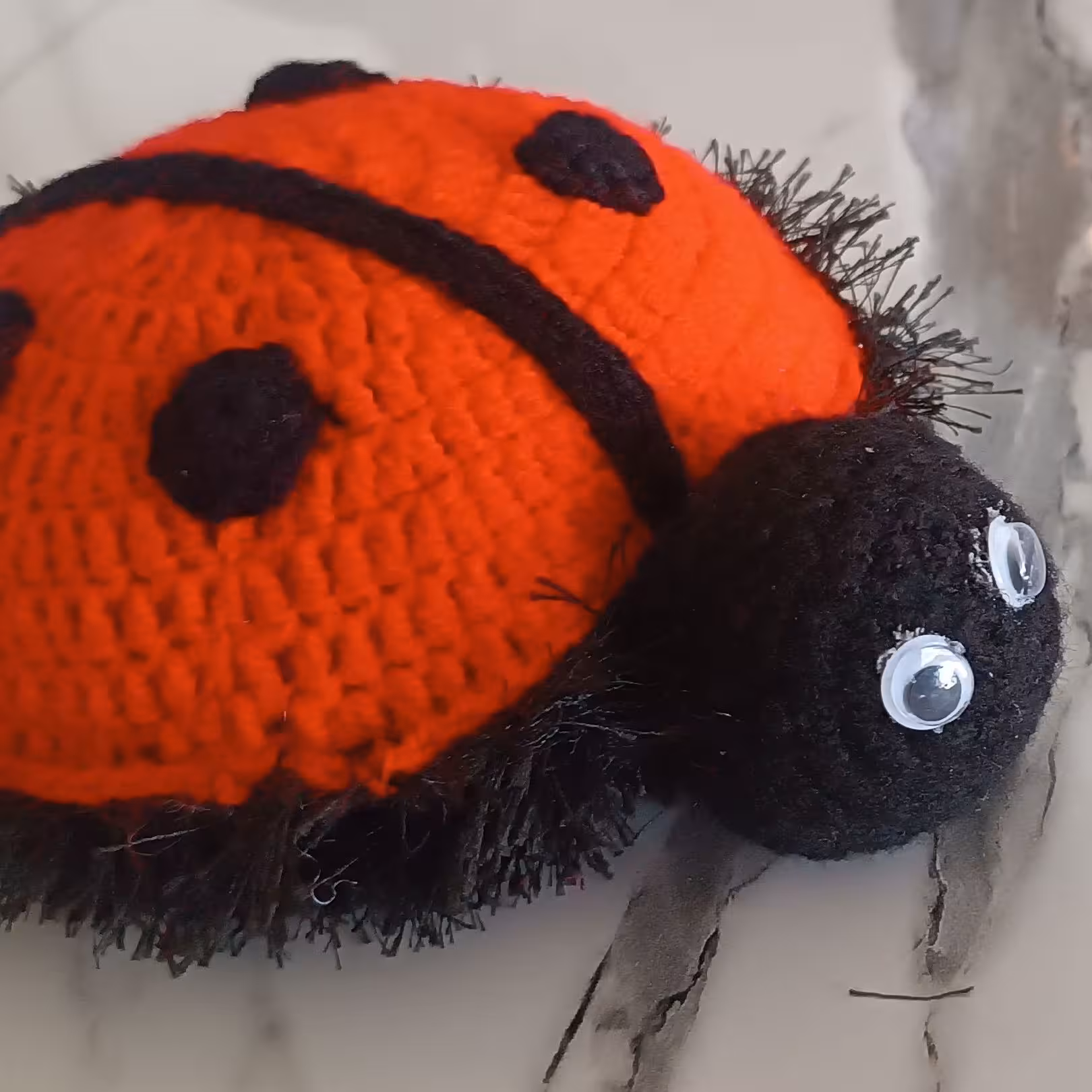 سفره پاکن کفشدوزکی