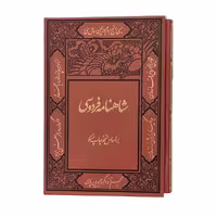 شاهنامه فردوسی نفیس (بر اساس نسخه مسکو) 2جلدی، قابدار، مصور