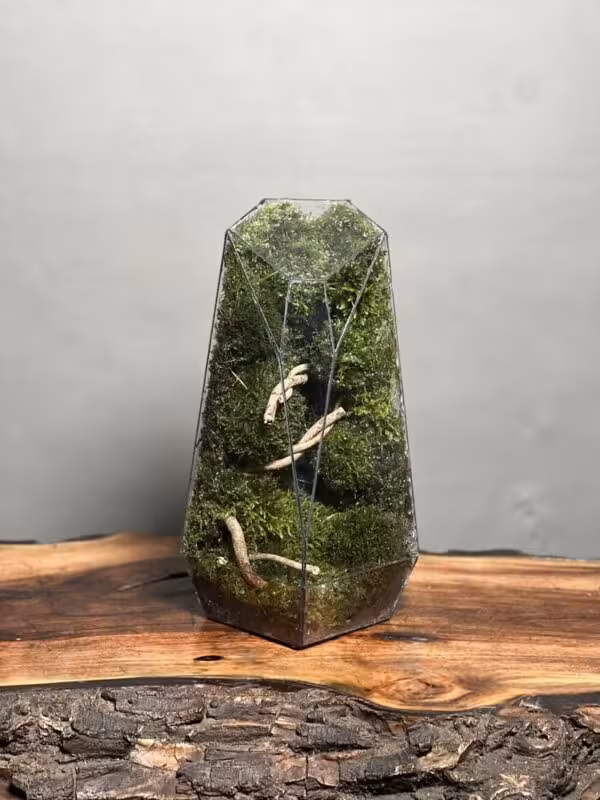 خرید موساریوم طرح طبیعت آبنوس فاکس 35 Cm
