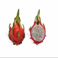 دراگون ممتاز یک عددی