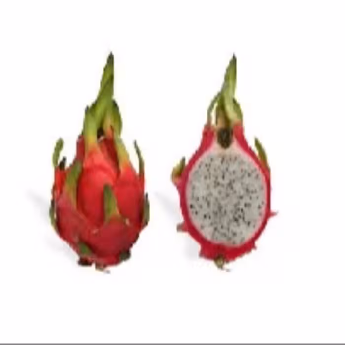 دراگون ممتاز یک عددی