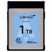 کارت حافظه CFexpress B اکساسند Exascend VIGOR CFexpress 2.0 Type B 1TB 1/800MB/S