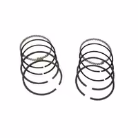 رینگ پیستون بنز S350 W221