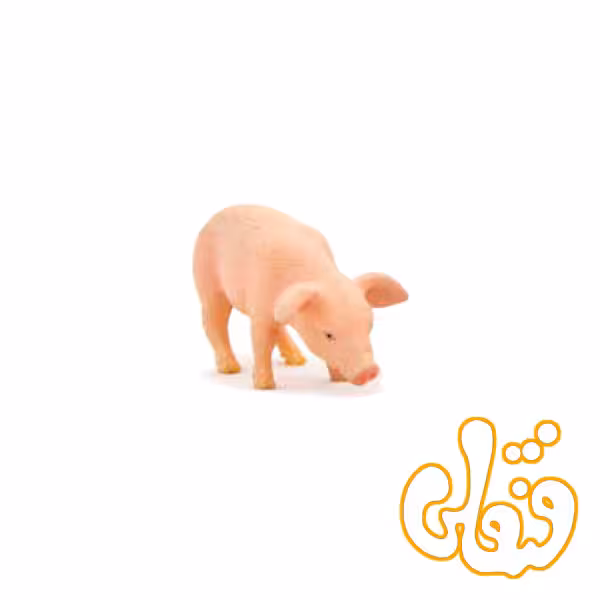 غذا خوردن توله خوک Piglet Feeding 387056