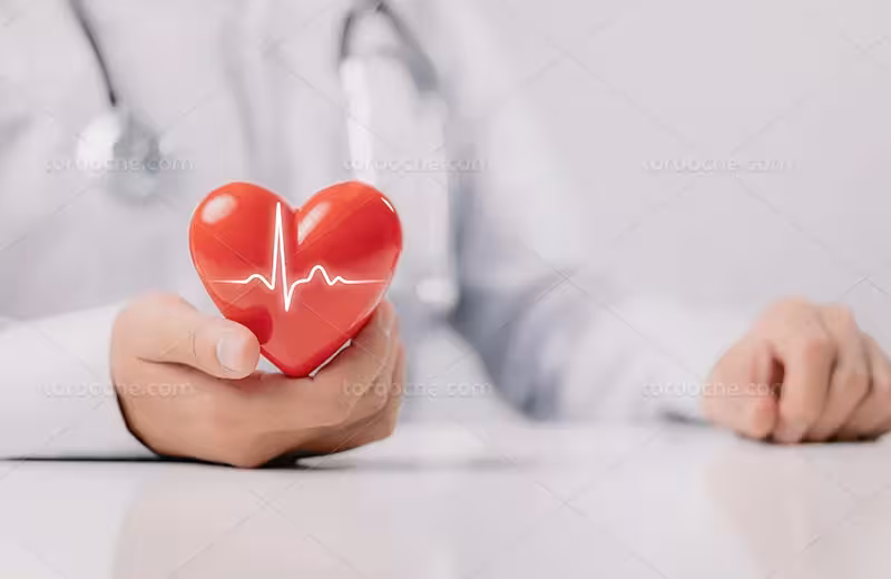 عکس با کیفیت ضربان قلب | گرافیک با طعم تربچه