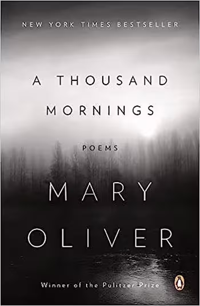 کتاب A Thousand Mornings Poems