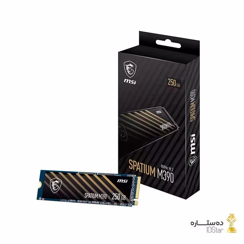 اس اس دی اینترنال ام اس آی مدل SPATIUM M390 M.2