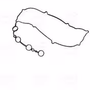 گلدنGOLDEN واشر درب سوپاپ ریو