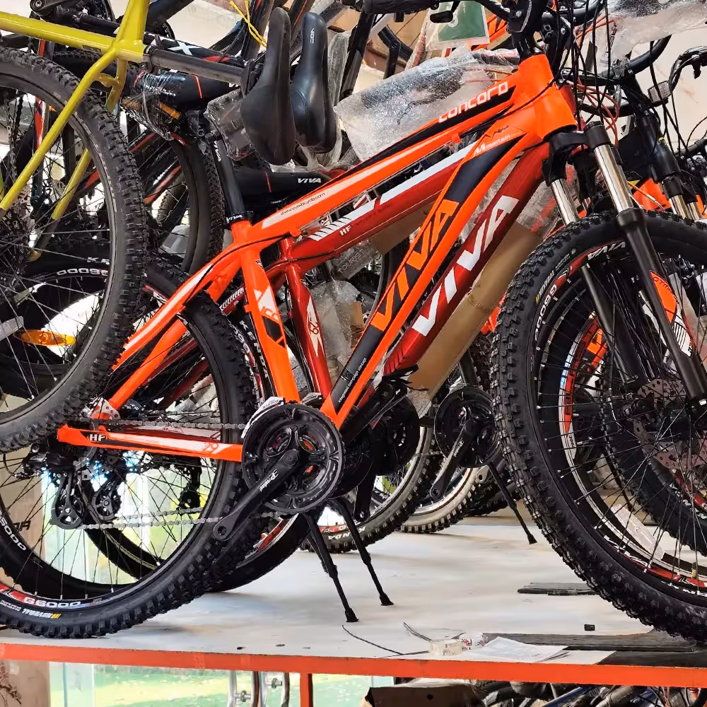 دوچرخه کوهستان VIVA CONCORD ویوا کانکورد سایز 29 | قدرت و استقامت در مسیرهای ناهموار | آسمان دوچرخ